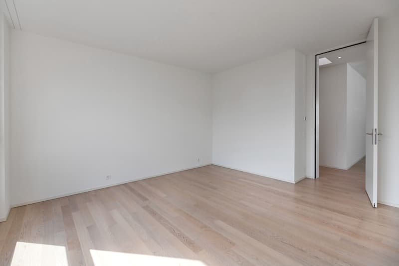 Residenza Laville: splendido attico in centro Locarno (7)