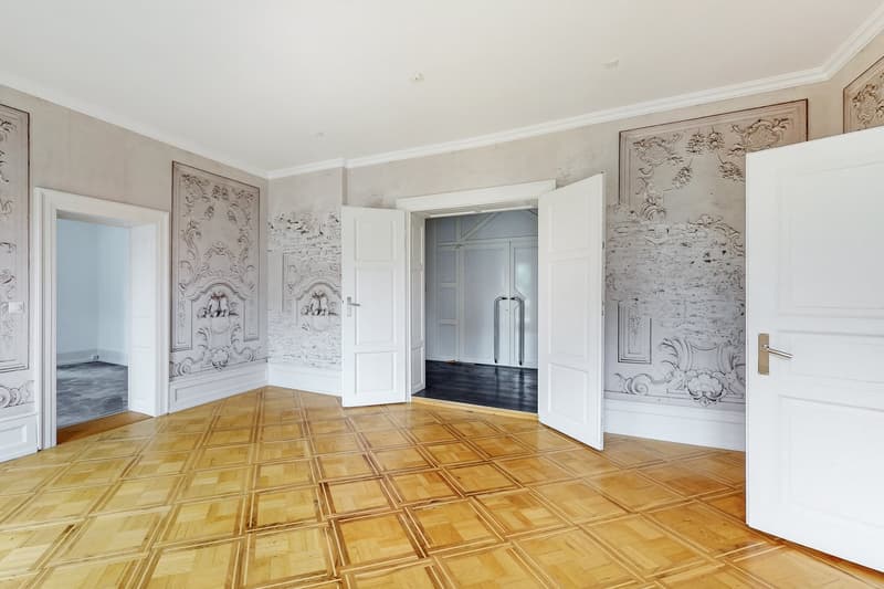 Exklusive Stadtwohnung mit grosszügiger Sonnenterrasse! (6)