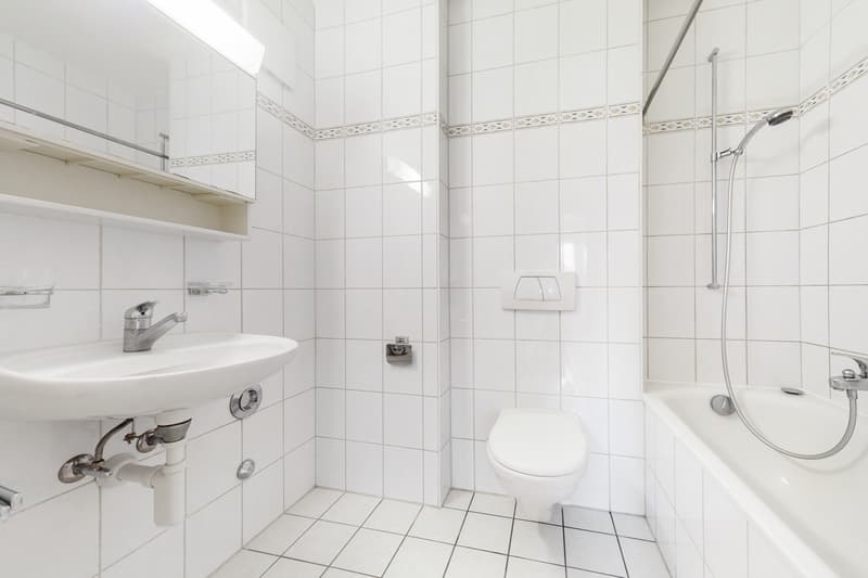 Superbe appartement à Fribourg ! (7)