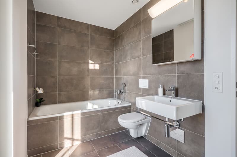Die perfekte Wohnung im Zwicky-Areal (5)