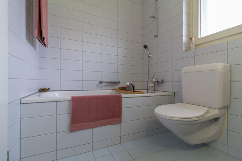 Dachwohnung mit sonnigem Balkon (5)