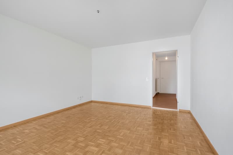 Attikawohnung mit grosser Terrasse - befristet bis 30.09.2027! (3)