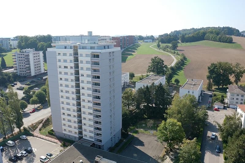 Appartement entièrement rénové - 1 mois de loyer offert (8)