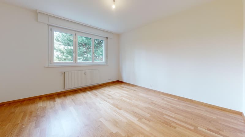 Appartement entièrement rénové - 1 mois de loyer offert (7)
