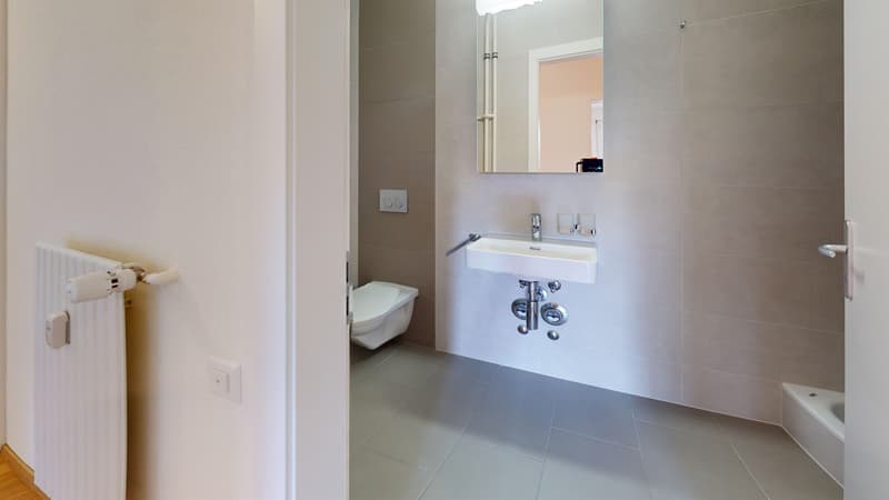 Appartement entièrement rénové - Un mois de loyer offert (6)