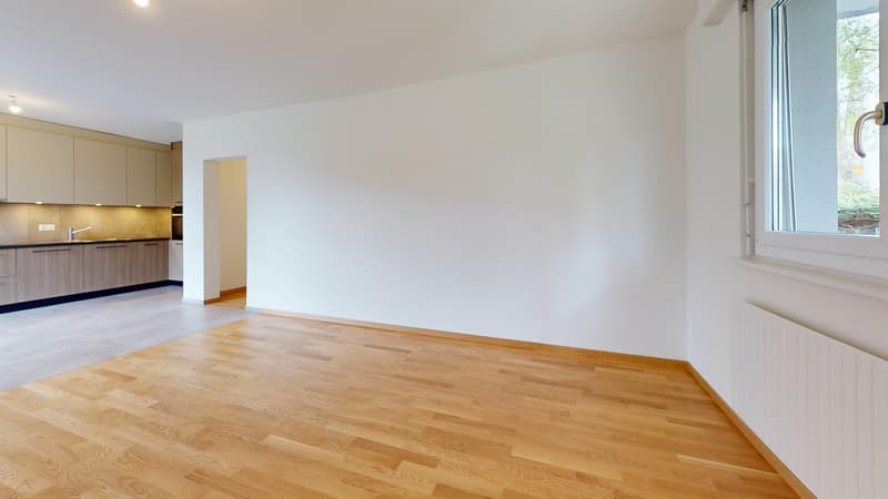 Appartement entièrement rénové - 1 mois de loyer offert (5)
