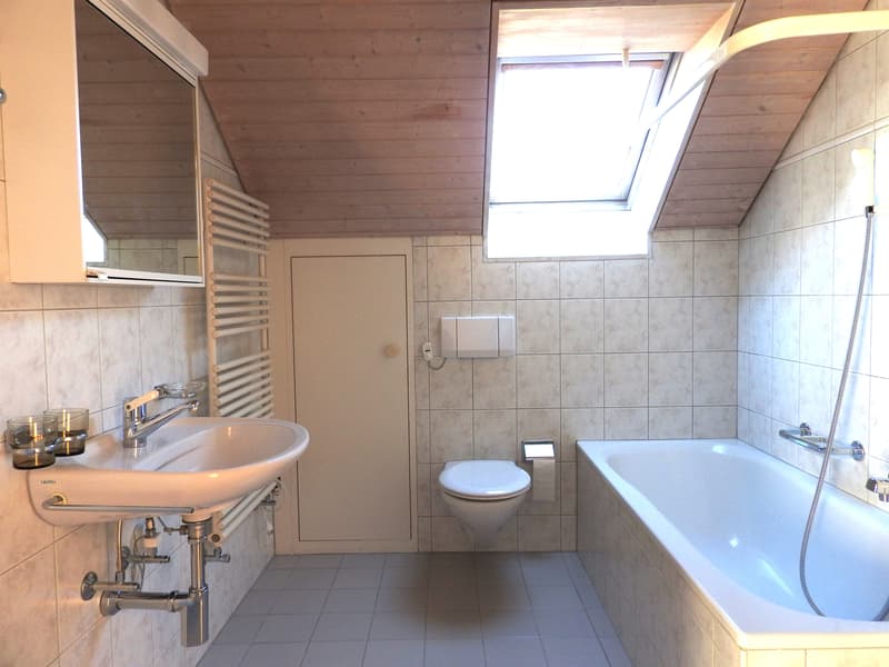 Attraktive, helle Dachwohnung (3)