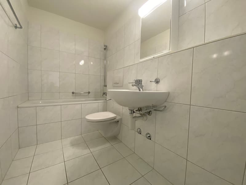 Schöne stadtnahe Wohnung (4)