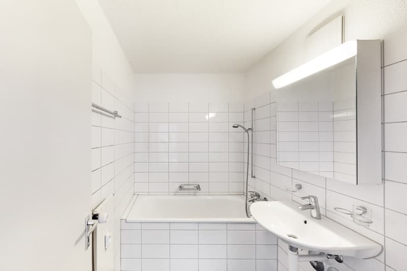 Wohnung mit grosszügigem Grundriss (12)