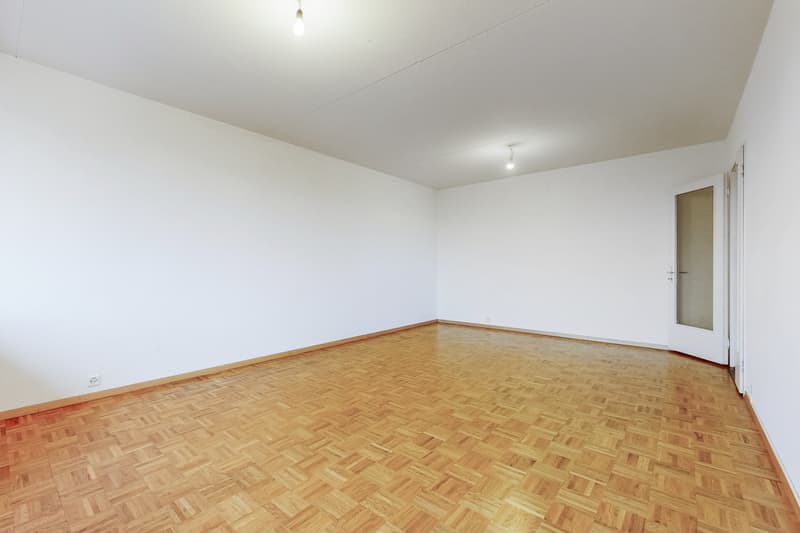 Bel appartement familial au Petit-Lancy (4)
