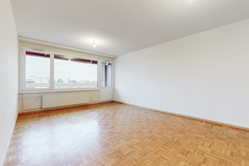 Bel appartement familial au Petit-Lancy (3)