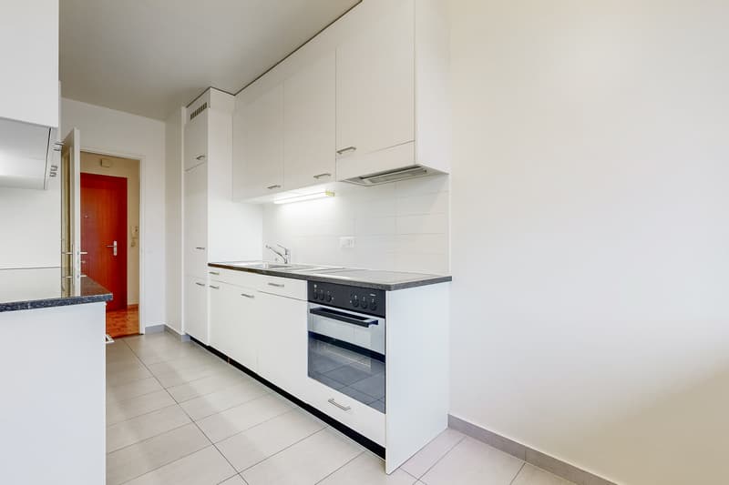 Bel appartement familial au Petit-Lancy (5)