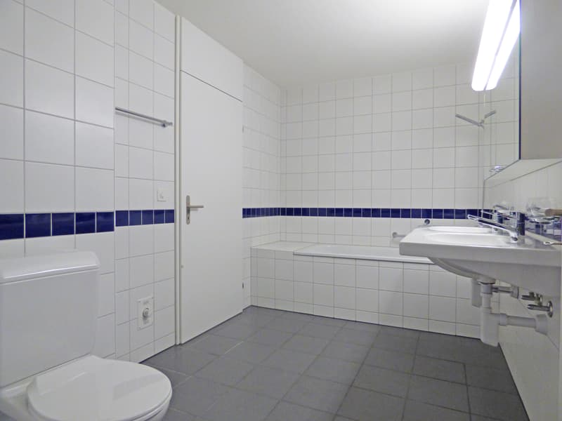 Traum Zuhause am Zürichsee (6)
