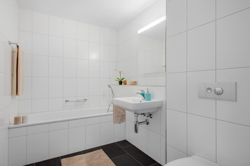 Attraktive Wohnung nähe Limmat an bevorzugter Wohnlage (7)