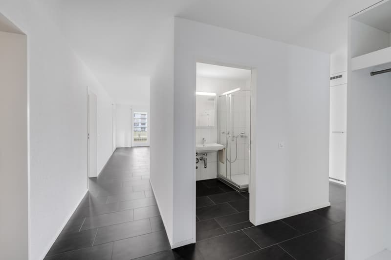 Attraktive Wohnung nähe Limmat an bevorzugter Wohnlage (5)