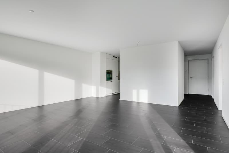 Attraktive Wohnung nähe Limmat an bevorzugter Wohnlage (10)