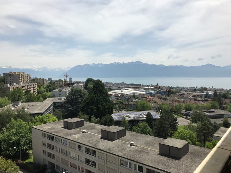 Dans les hauteurs de la ville (2)