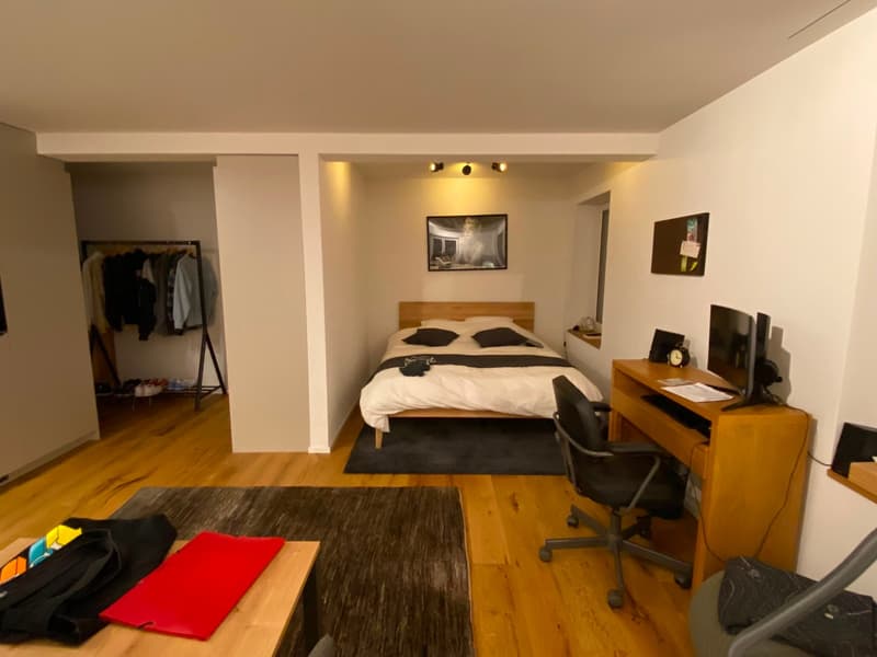 Gemütliche Singlewohnung (4)