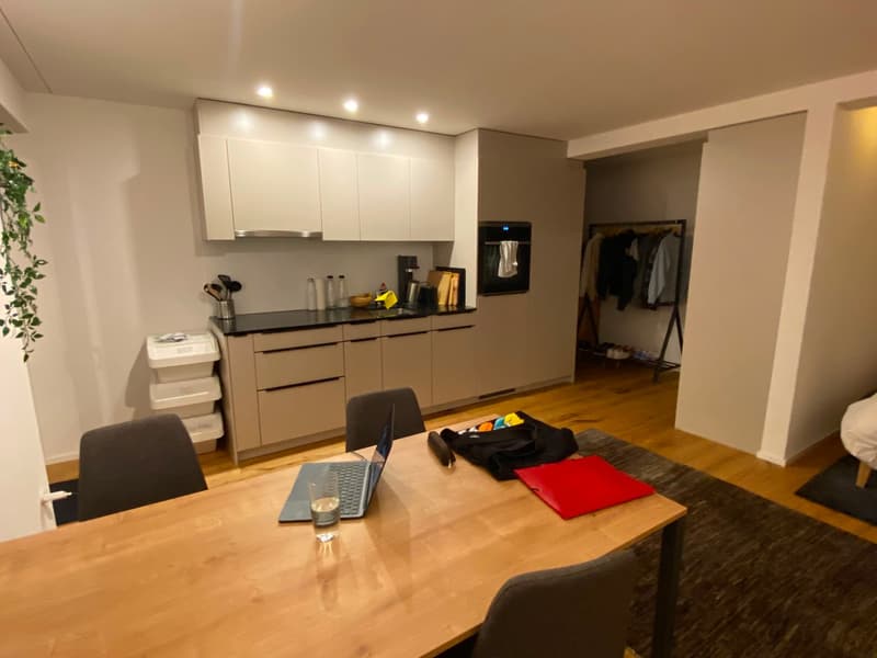 Gemütliche Singlewohnung (2)