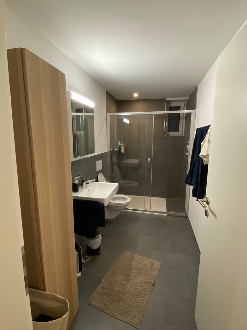 Gemütliche Singlewohnung (3)