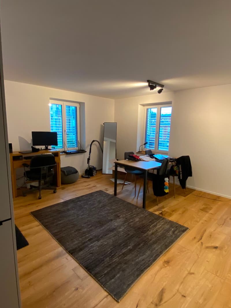 Gemütliche Singlewohnung (5)