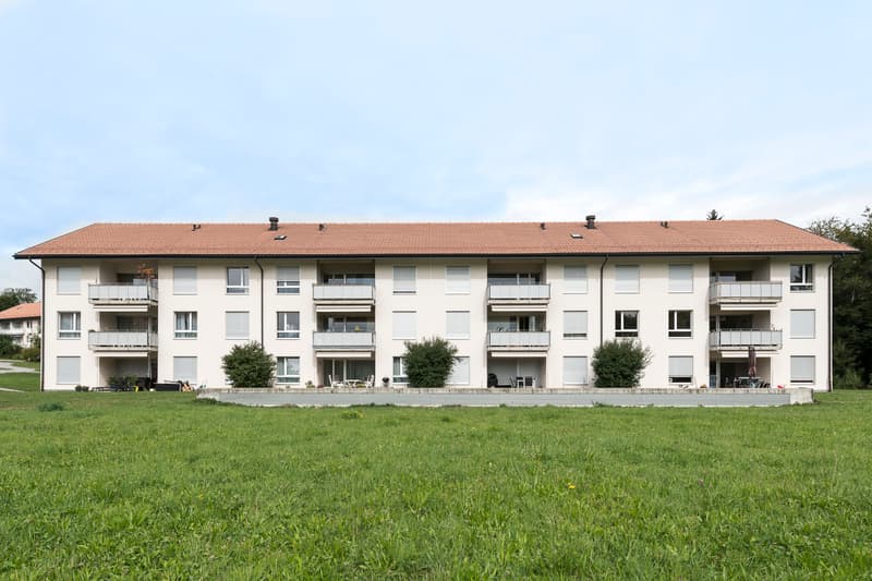 Appartement idéal dans un quartier calme (1)