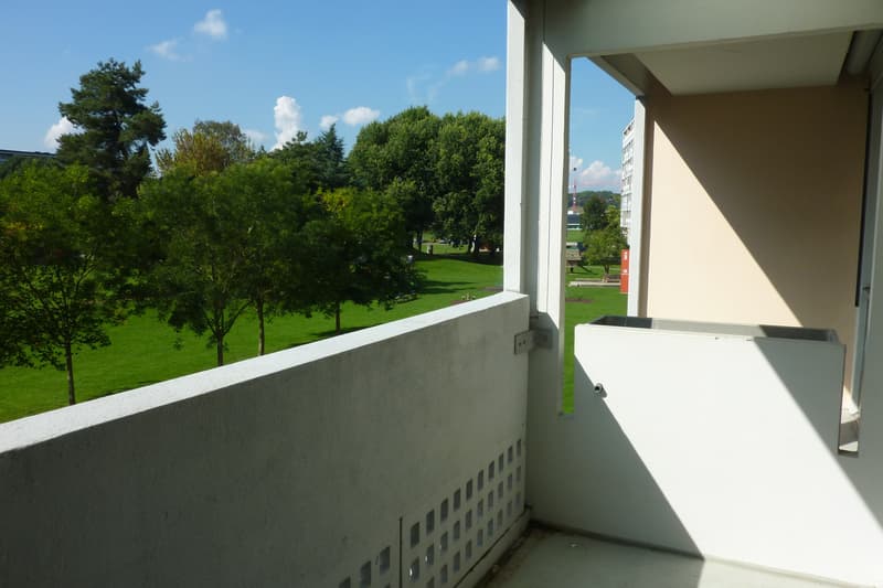 Tolle Singlewohnung! (5)