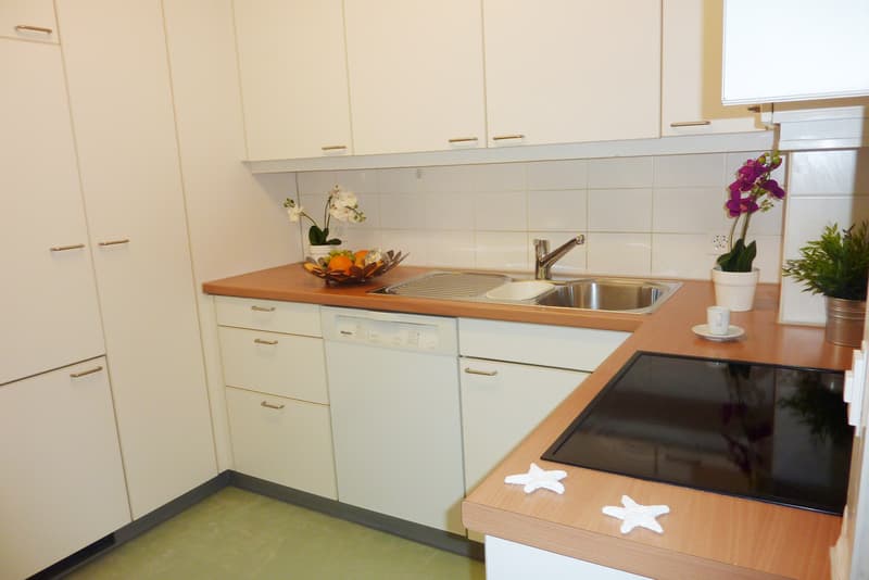 Tolle Singlewohnung! (3)