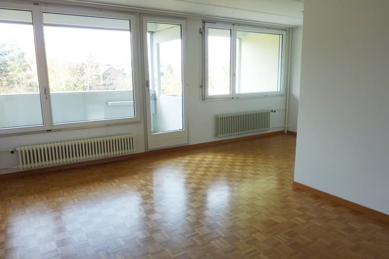 Tolle Singlewohnung! (2)