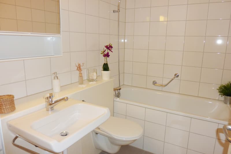 Tolle Singlewohnung! (4)