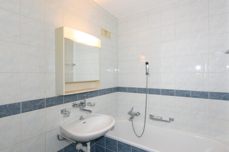 Spacieux logement à Fribourg ! (5)