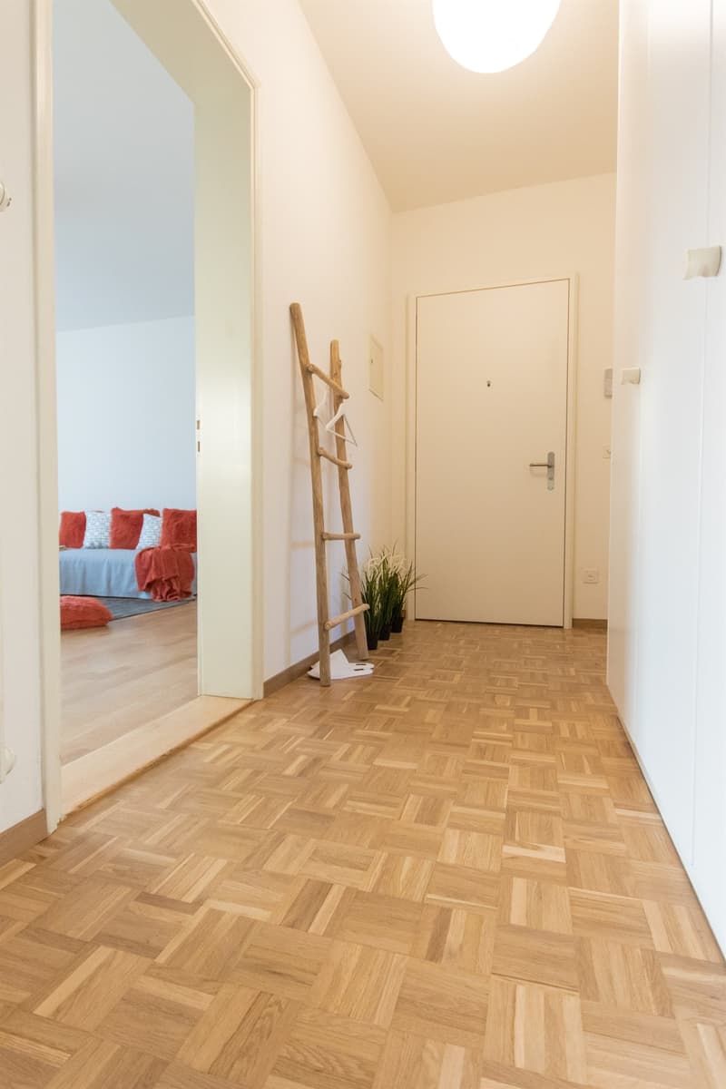 Elegante, luminoso e rinnovato con vista castelli (3)