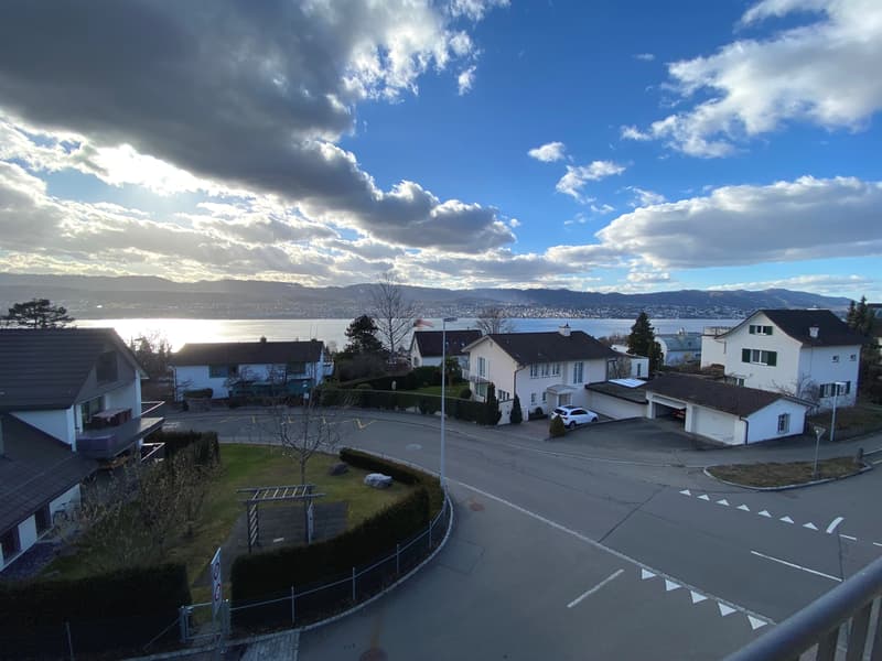 Wohnen an der Goldküste mit herrlichem Seeblick (7)