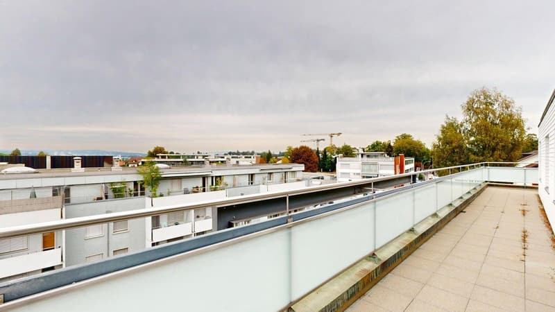 Wohnen mit Stil - grosszügige Attikawohnung im Geissmattquartier (13)