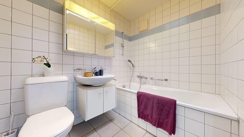 Stadtnahe Wohnung - Nachmieter:in per 01.10.2026 gesucht! (7)