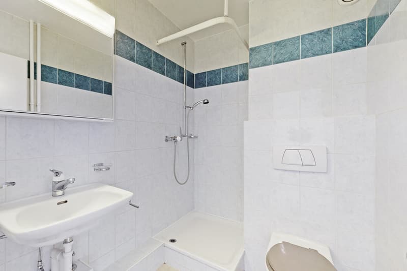 Votre appartement au centre de Lausanne ! (7)