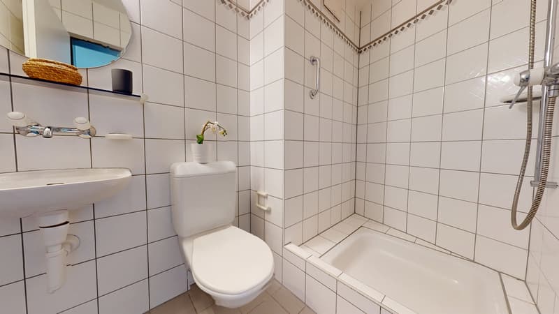 Frisch gestrichene Wohnung? Hier sind Sie an der richtigen Adresse! (10)
