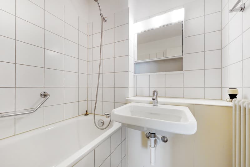 Charmante Wohnung zu vermieten (6)