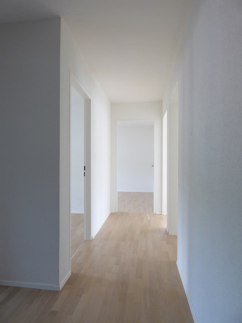 Zentrale Wohnung sucht neue Mieter! (3)