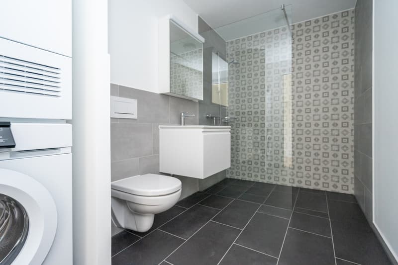 Perfekte Päärchen- oder Singlewohnung sucht NachmieterIn per sofort! (6)