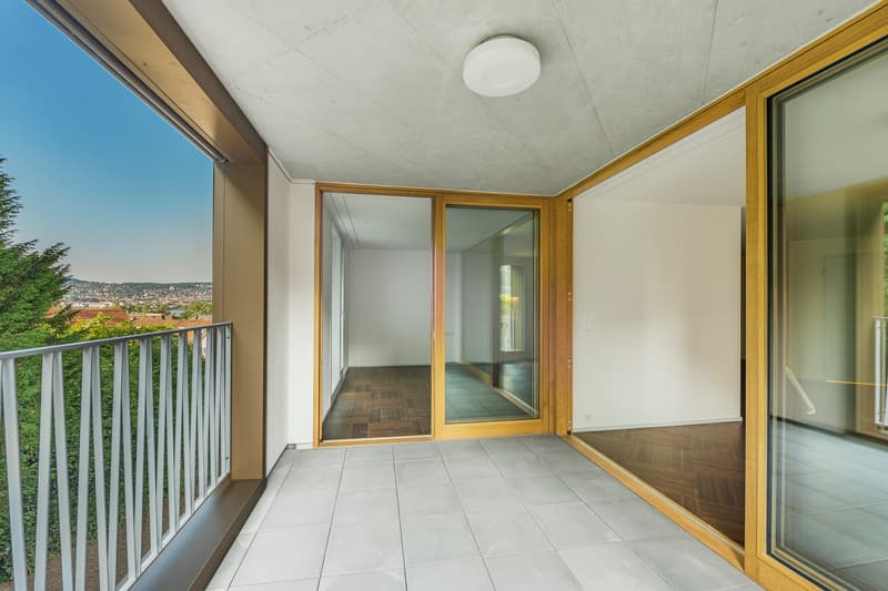 Schmuckstück in Wollishofen - Wohnung im Cresta Park (6)