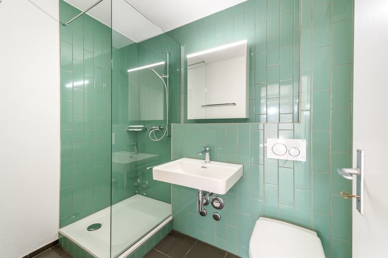 Platz für die ganze Familie  frisch sanierte 5.5 Zimmer-Dachwohnung (9)