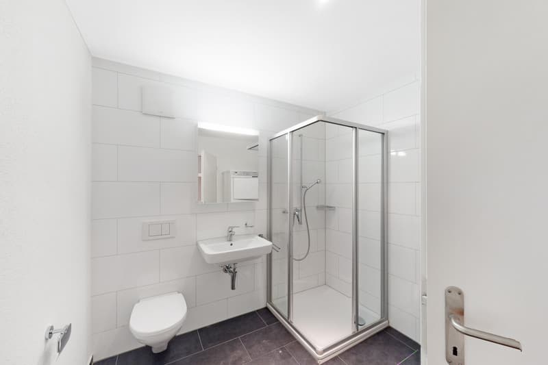 Ihr neues Zuhause in Sins 4.5 Zimmer mit viel Wohnkomfort (4)