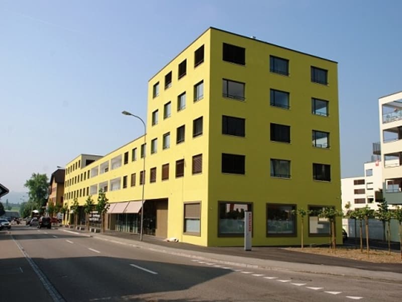 Ihr neues Zuhause in Sins 4.5 Zimmer mit viel Wohnkomfort (1)