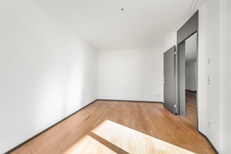 Moderne Wohnung am Stadtrand von Zürich (4)