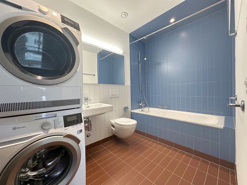 Moderne Wohnung am Stadtrand von Zürich (7)