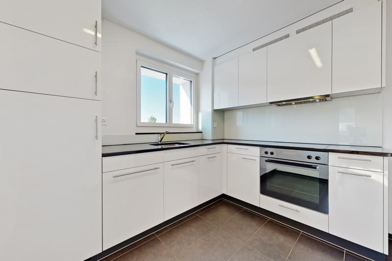 Naturnah wohnen, stadtnah leben moderne 4.5-Zimmer-Wohnung in Luzern (2)