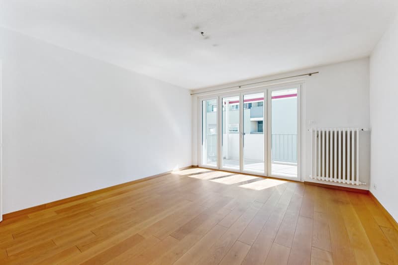 Naturnah wohnen, stadtnah leben moderne 4.5-Zimmer-Wohnung in Luzern (4)