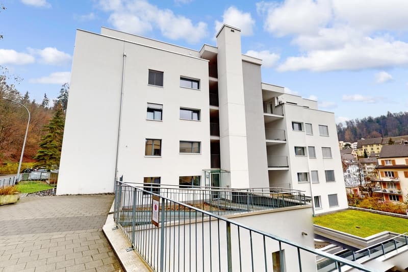 Naturnah wohnen, stadtnah leben moderne 4.5-Zimmer-Wohnung in Luzern (1)