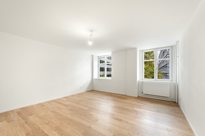 Charmante Altbauwohnung im Herzen von Zürich (5)